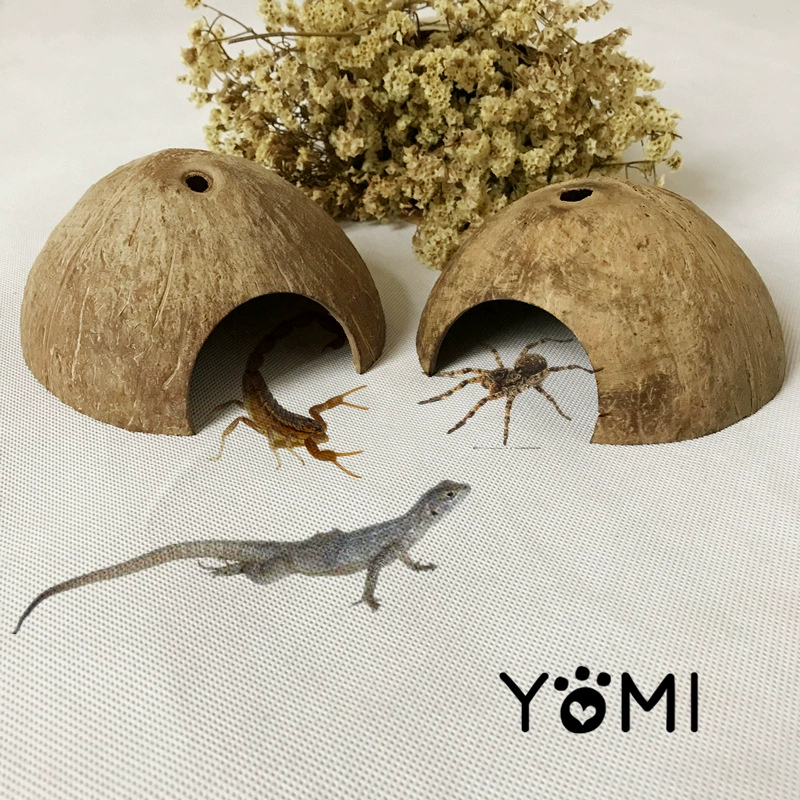 Черепаха паук скорпион ящерица Рог лягушка гусеничный маленький питомец Кокосовая Скорлупа скрывается дом скрывается пещерное гнездо