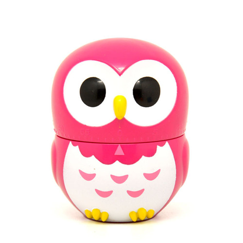 Internet celebrity model RB217 cartoon owl learning time timer kitchen cooking oven mechanical countdown timer