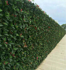 植物牆仿真草坪加密草坪 人造綠植牆 塑料假草坪背景壁掛裝飾