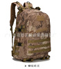 Street tactics equipment for training, sports backpack, wholesale, 3D