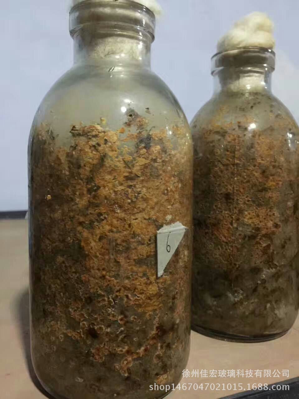 工厂直销组培瓶食用菌玻璃菌种瓶制作750ml食用蘑菇培植广口瓶