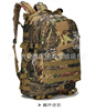 Street tactics equipment for training, sports backpack, wholesale, 3D