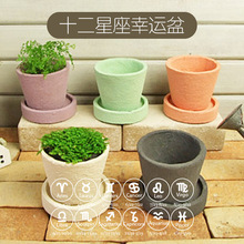 �W�t��ף�����ԾGֲ ʮ���������� �¿�����С���@Ȥζף���Z�Nֲ