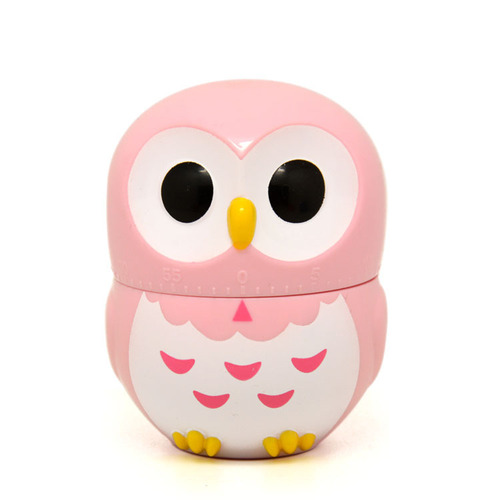 Internet celebrity model RB217 cartoon owl learning time timer kitchen cooking oven mechanical countdown timer