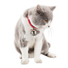Metal small bell, choker, new collection, pet, cat