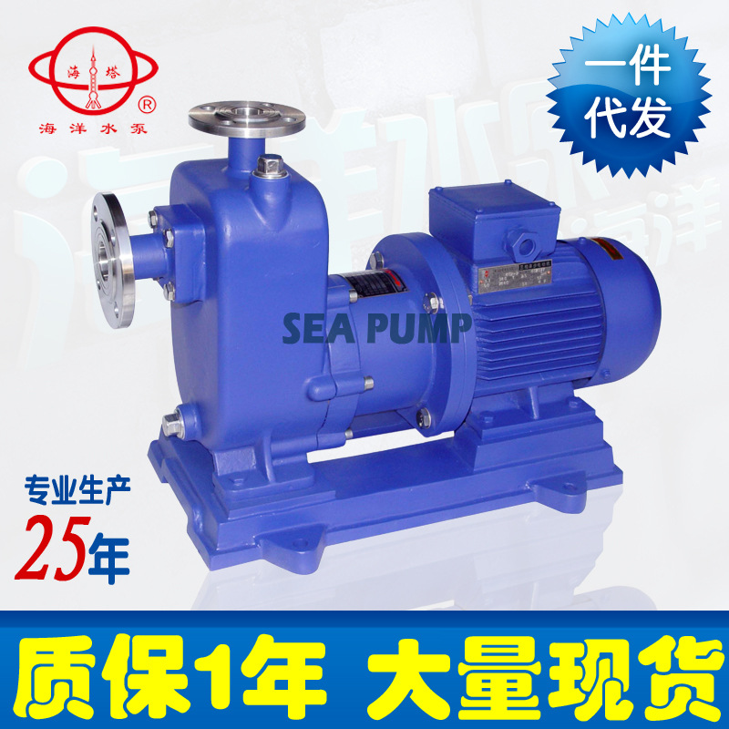 厂家供应ZCQ自吸式磁力泵 不锈钢磁力泵 驱动磁力泵 磁力传动泵