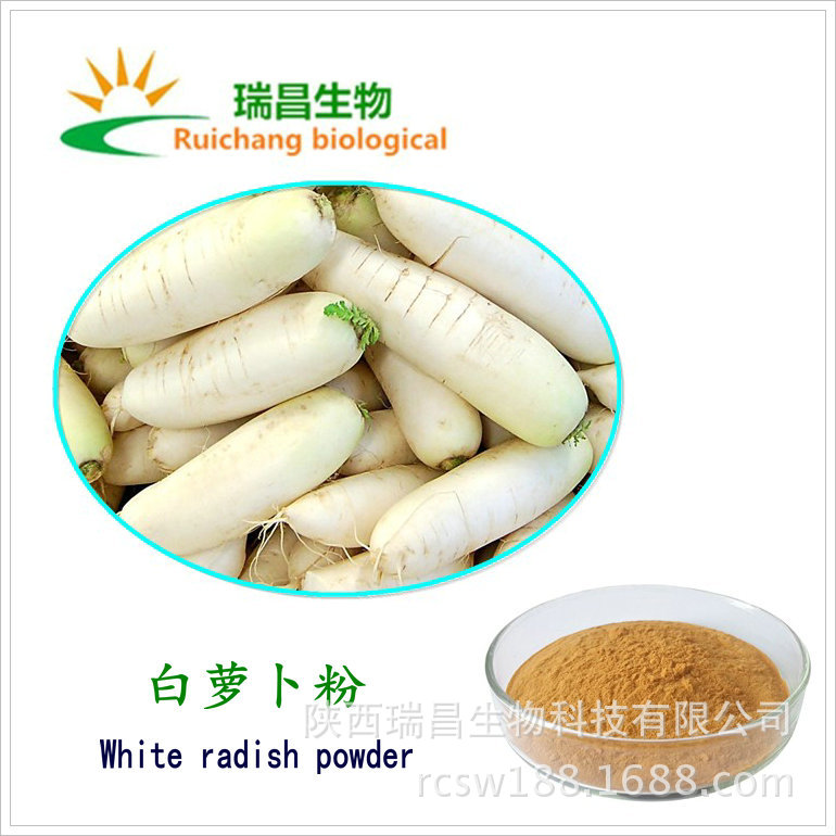 白萝卜提取物 白萝卜粉 蔬菜粉脱水白萝卜粉散装 陕西瑞昌