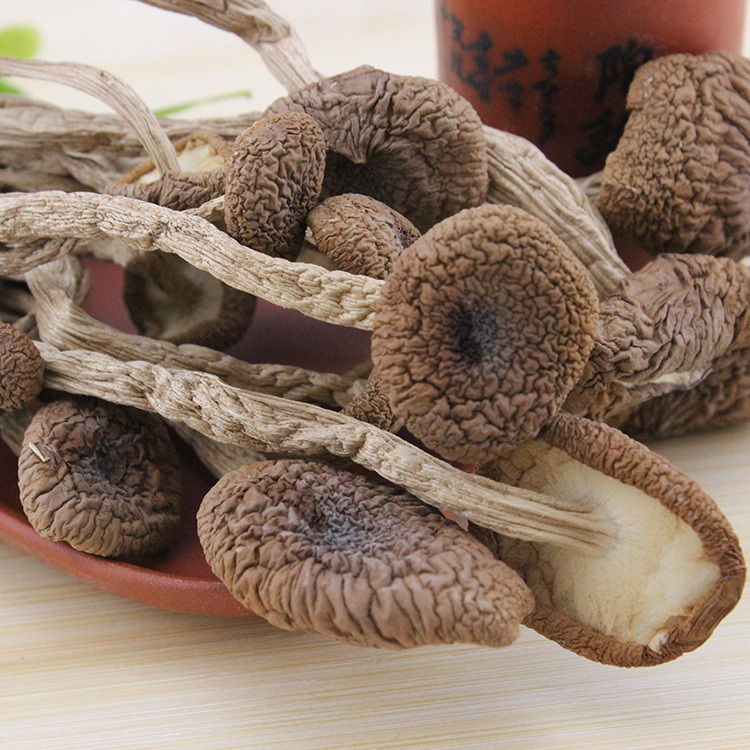 源头厂家香菇未开伞茶树菇新货食用菌南北干货酒店餐饮火锅食材|ru