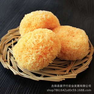 ���������ԏ��ܶ�С���x��������y�����S���Ŵ�������y����