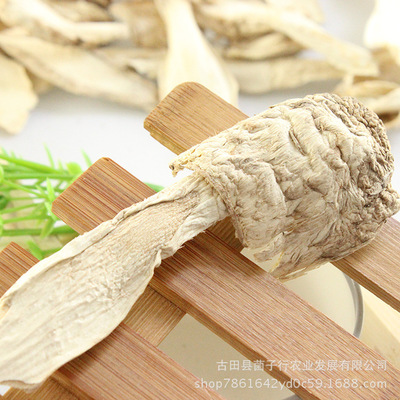 (Fungus line )new goods Furuta Matsutake lawyer's wig Mushroom North and South Ingredients dried food wholesale 500g