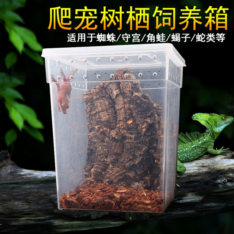 Коробка для рептилий Восхождение Pet Box Паук Ящерица Хамелеон Цлиарий Рог Шугун Дерево Лягушка Специальная прозрачная коробка для кормления