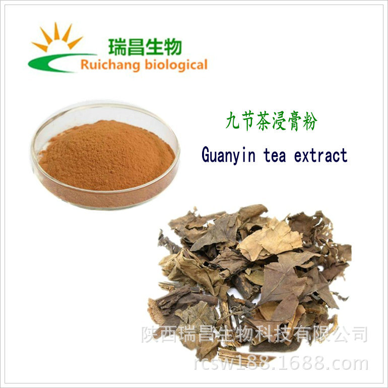 九节茶浸膏粉 现货批发 植物提取物 水溶性 九节茶提取物 含运费