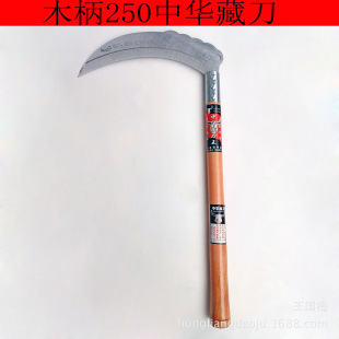 ľ��250���A�ص� ����砵��i��h��砵��r�Ñ����ݵ����ݹ���