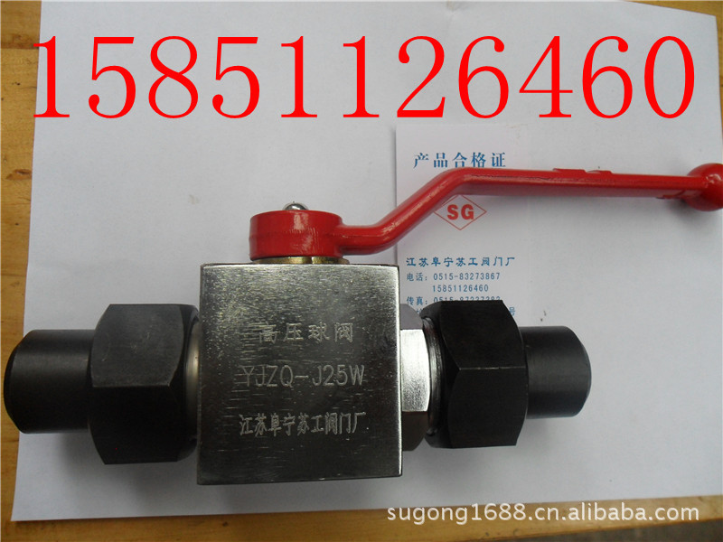 NV1-BHN16-G10-316天燃气高压球阀 日照针型阀 截止阀 SS-V2BF8-G