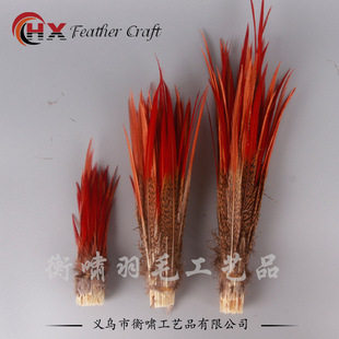 ���l��Ȼ�\�uë �\�u�t�� Ұ�u��ë15-20cm Ұ����ë ɽ�uë