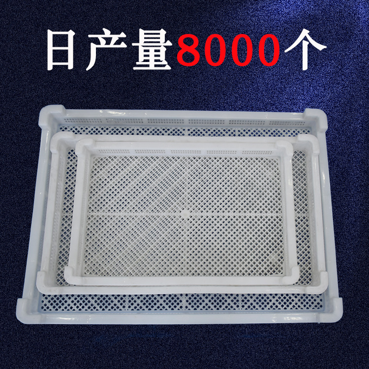 塑料烘干盘烘盘耐高温  大号单冻器冷冻速冻食品海鲜丸子盆晾晒盆