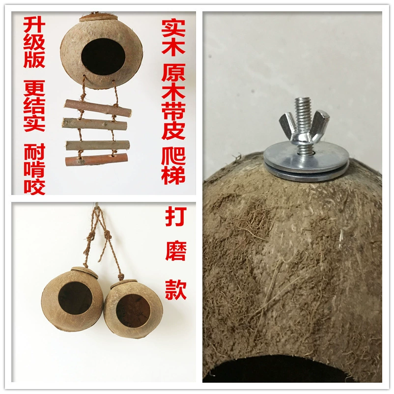 Фабрика прямой попугай скорлупа кокосового ореха Птичье гнездо хомяка белки гнездо теплое гнездо лестница из кокосовой скорлупы