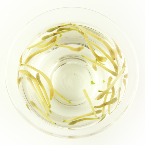 【Qili Fragrance】Honeysuckle Tea Henan Fengqiu Early Honeysuckle Loose Wholesale Honeysuckle