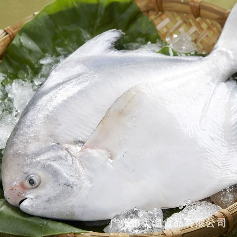 Замороженный Помфрет сырой маленький Помфрет плоская рыба замороженная плоская рыба маленькая белая рыба сарая около 100 г/шт. 5 кг/шт.