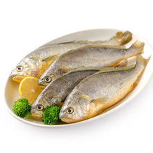 ���r�����|�����S���~���rС�S�~���r�S÷�~�s500-600g/�l