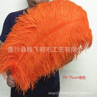 ���l����70-75cm�r�Bë��c�廨������ë�S��������ë