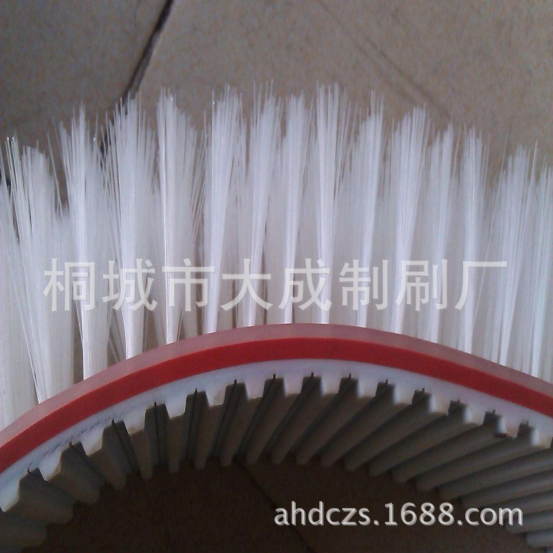 （大成毛刷以诚待人做好刷子）供应鬃丝毛尼龙皮带刷 钢丝毛刷带