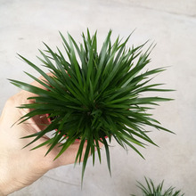 ���l �k���� �辰 С�Gֲ ΢�������Gֲ С���X����