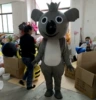 Big Nose Kaola