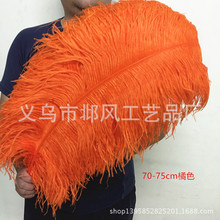 �r�B��ë�֗U70-75cm�r�Bë��c�b廨��ë