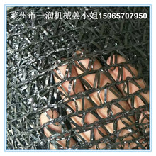 编织袋网袋塑料扁丝拔丝设备 PPPE遮阳防尘网挤出拉丝生产机械