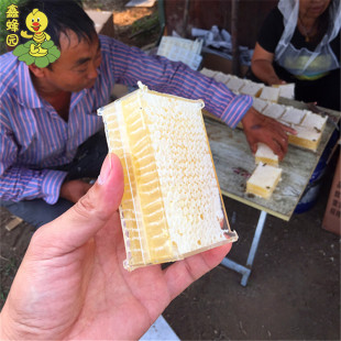 �G�l�䳲��300���b���۷峲�����l