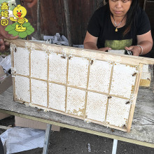 �䳲��300�˰��b �G�l����ɢ�b�����ۏS�����l