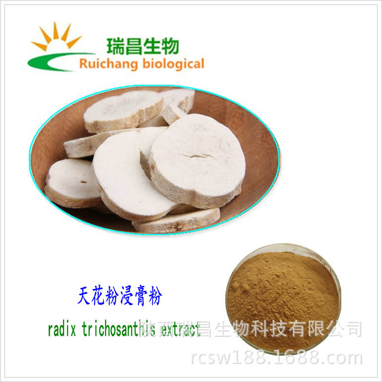 天花粉提取物 现货批发 天花粉植物 植物提取物 量大价优中药