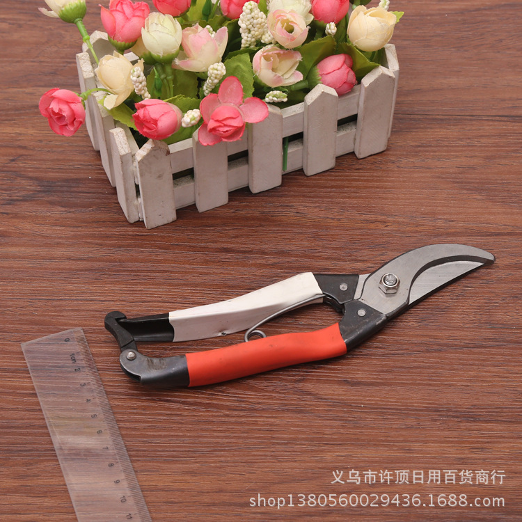 剪枝果树修枝剪刀园艺园林修花枝剪家用强力剪子花剪剪枝剪刀