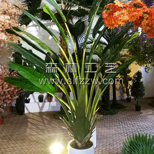 ̈쾰Gֲ˽ֲ 2.5ײ䓴~˽