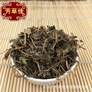 ������������ɳ�� ����ɳ��