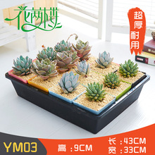 �����m�� YM03�Ӻ������ˮ������ ���ϷNֲ������ ����������