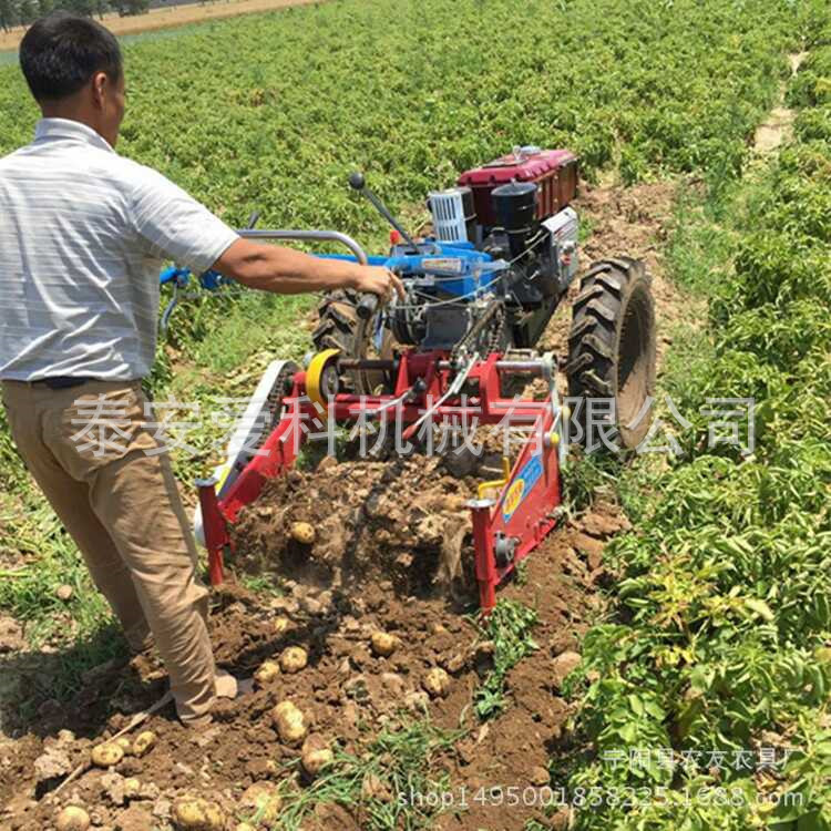 陕西安康土豆收获机 垄上地瓜 红薯收割机 收马铃薯机器