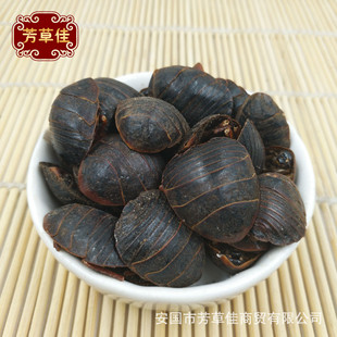 ���l��ș�����M�x �����x �M�x ��Ԫ