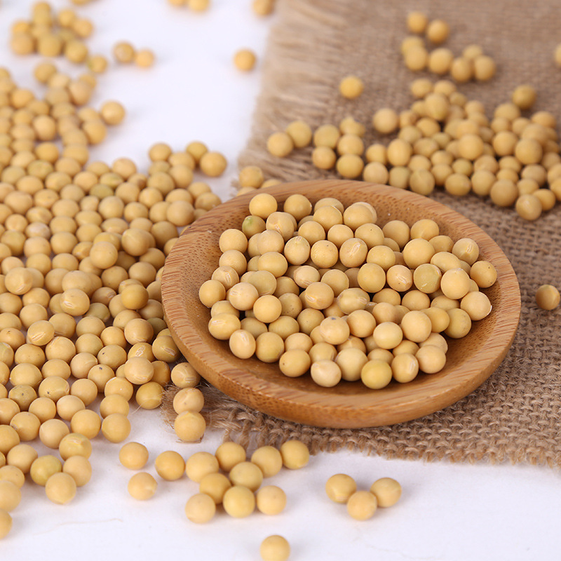 in stock wholesale cooking bean products raw materials soybean milk tofu raw materials 40kg can be wholesale northeast soybean