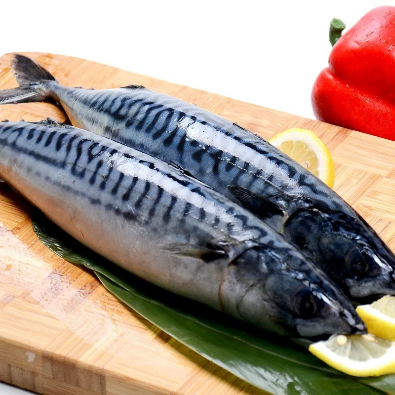 Норвегия живая замороженная скумбрия Замороженная скумбрия 10кг/шт (400 г-600 г/полоса, 600 г +)