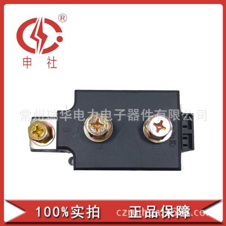 申社  常州瑞华 厂家直供 整流管桥臂模块MDK/A/C2501650