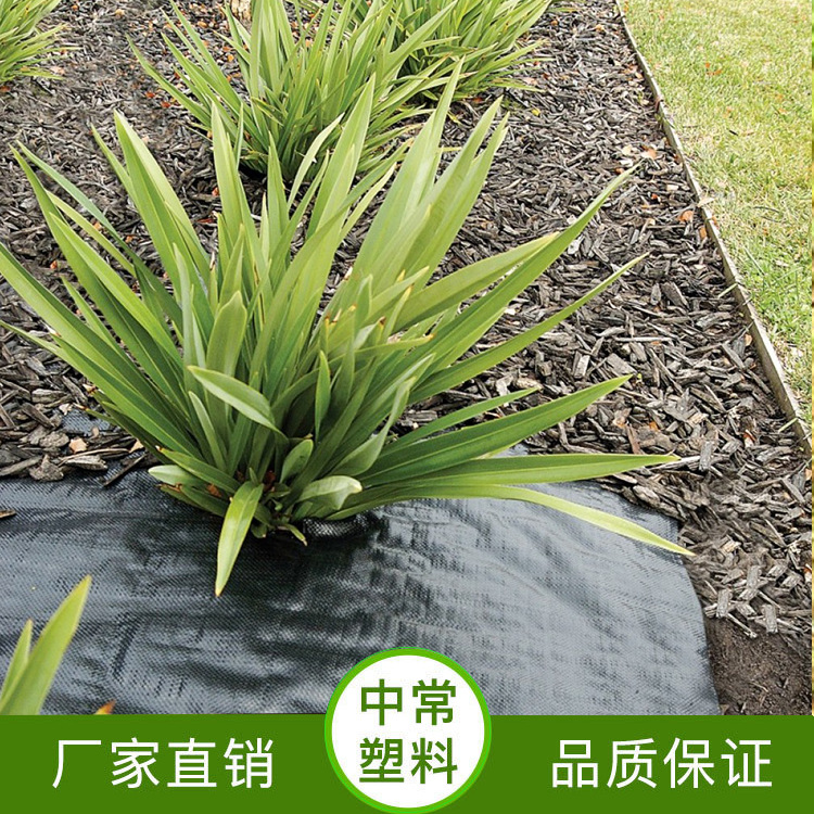 黑色园林园艺地布 除草布防草PE防草布 透气保湿栅栏布厂家直供