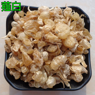 ޯ�� ��ș��  ޯ���^ Ұ�� �a�� ���� Сô�� С���� ɽ�� ����