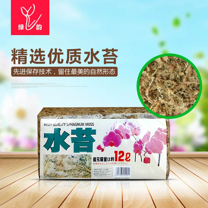 150 грамм водяного мха вьющийся коврик для домашних животных черника Орхидея Фаленопсис Дендробиум мясистое растение Кордицепс