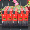 Thicked one -time 909 lighter semi -packed Minghuo one yuan machine wholesale