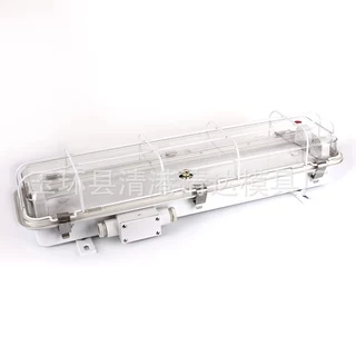 船用荧光舱顶灯JCY23-2EFL  2*9W船用灯具  LED船用荧光舱顶灯