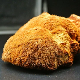 其他药食同源;参类滋补品;豆类