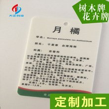 ʾƼӹ  ЙCPVCƘuvӡR