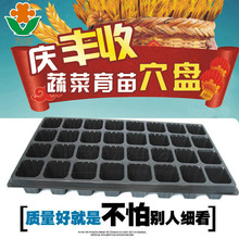 ����Ѩ�P��ͥ����Nֲ�������b�I�B���߲˶������NǤ����r���бP